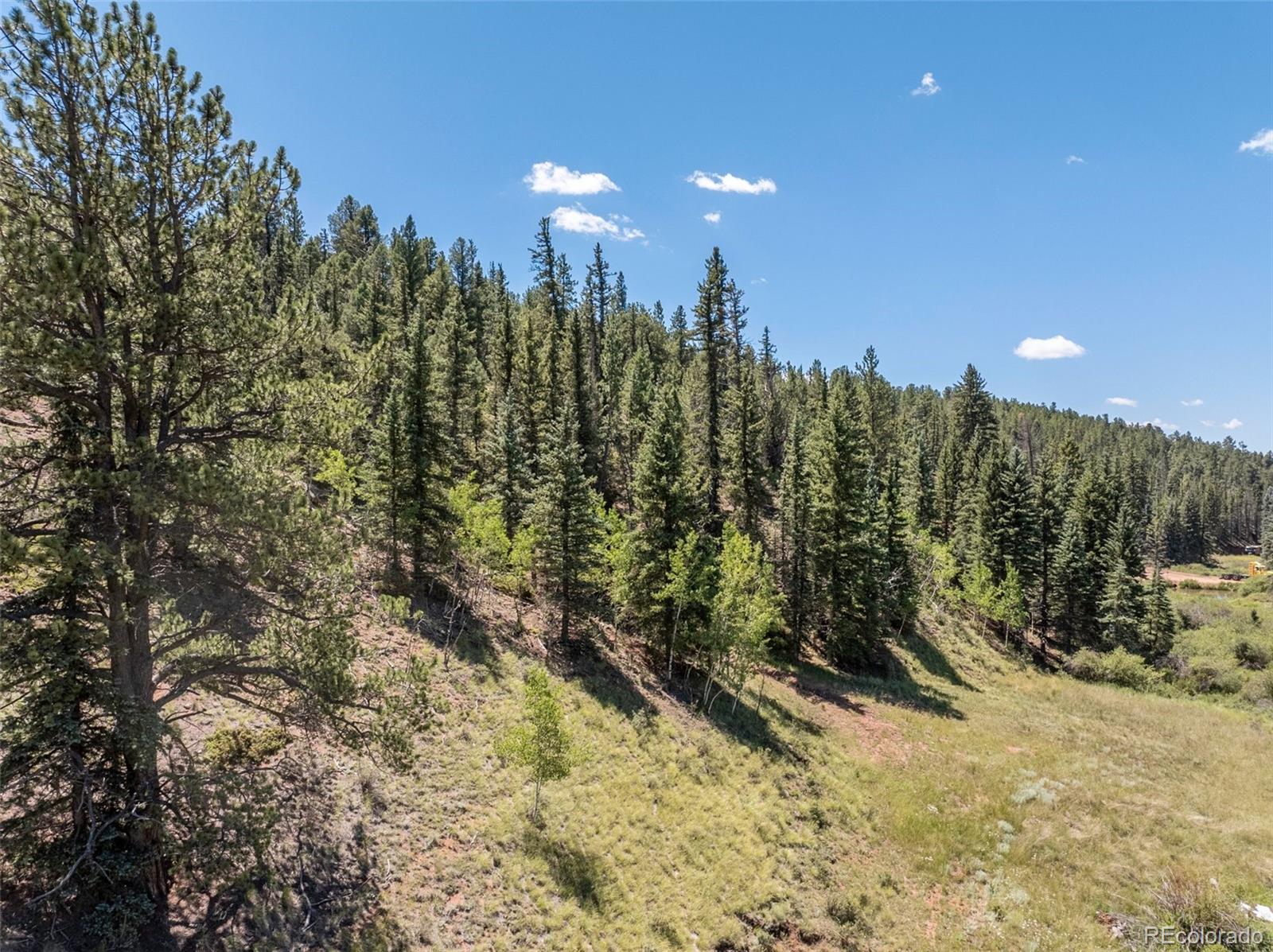 1676 Pathfinder Road Florissant, CO 80816 - Photo 15 of 32 Gallery Image 15