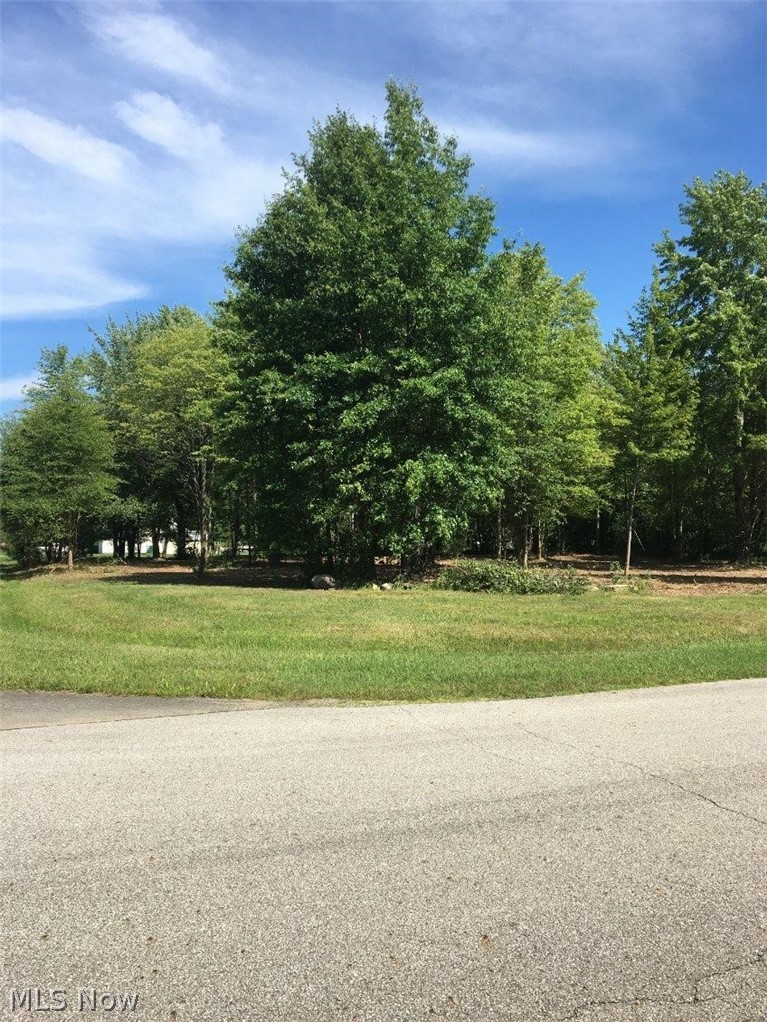 123 Roaming Way Rome, OH 44085 - Photo 15 of 17 View from road