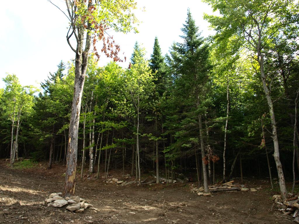 900.1 Morse Road Jay, VT 05859 - Photo 1 of 8 Gallery Image 1