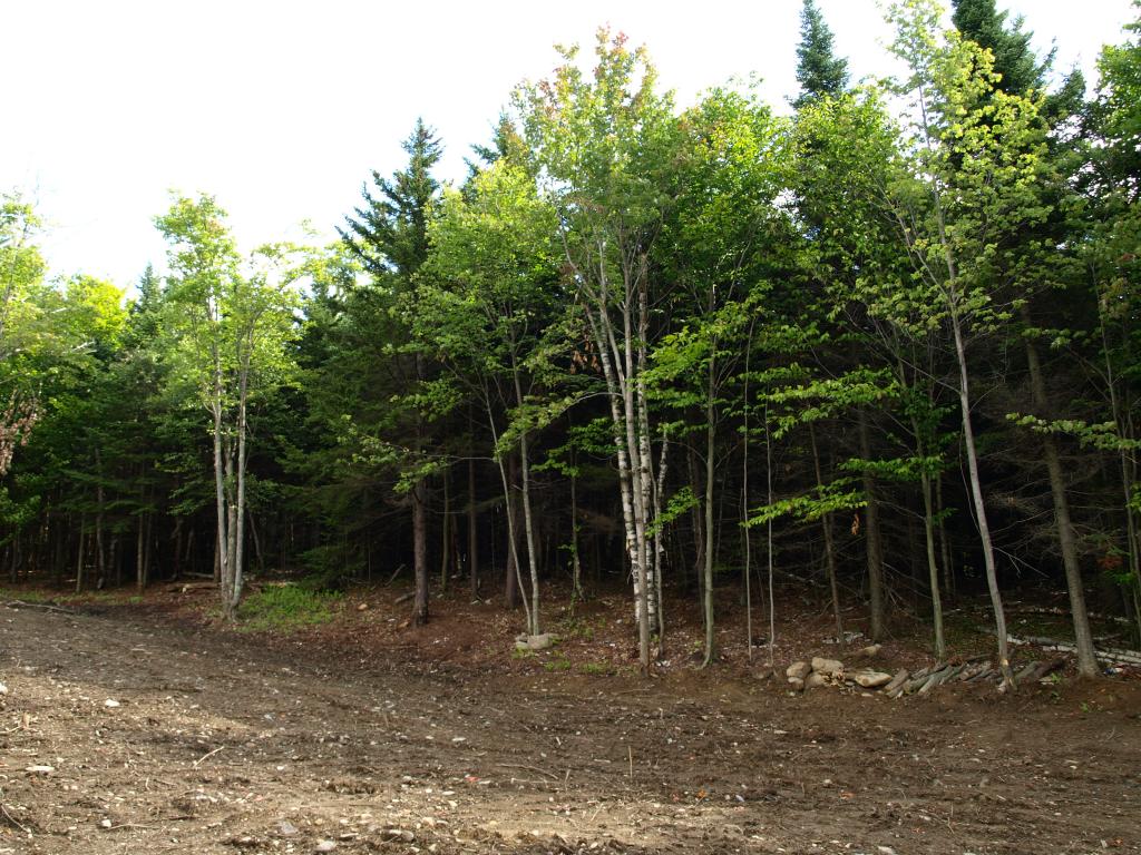 900.1 Morse Road Jay, VT 05859 - Photo 3 of 8 Gallery Image 3