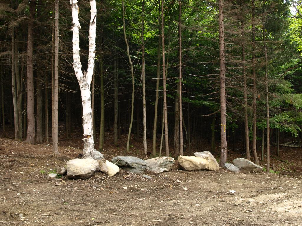 900.1 Morse Road Jay, VT 05859 - Photo 7 of 8 Gallery Image 7