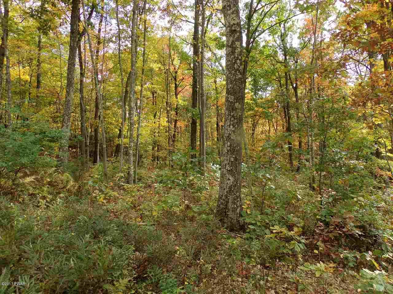 Lot 6.82 Lenni Lenape Road Narrowsburg, NY 12764 - Photo 15 of 17