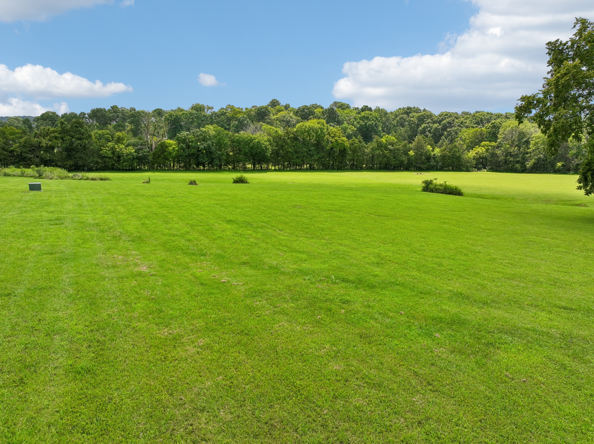 1730 Dillon Road Milton, TN 37118 - Photo 53 of 57 Gallery Image 53