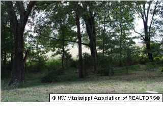 3737 County Line Road Coldwater, MS 38618 - Photo 11 of 16 Additional Photo