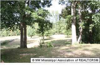 3737 County Line Road Coldwater, MS 38618 - Photo 13 of 16 Additional Photo