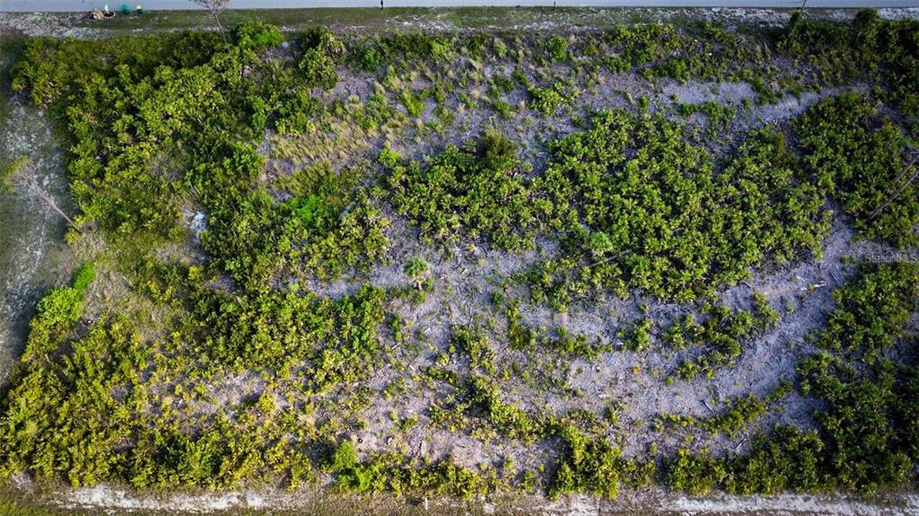 15 Amidship Road Placida, FL 33946 - Photo 7 of 10 a view of a garden