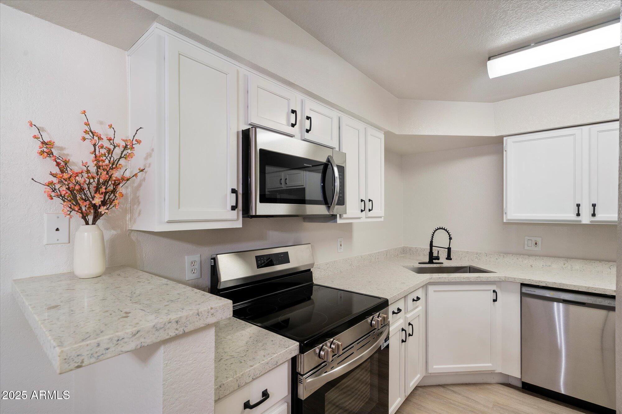 8787 East Mountain View Road, Unit 1106 Scottsdale, AZ 85258 - Photo 11 of 28 12-103204786