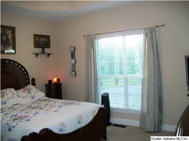 263 Meadows Drive Springville, AL 35146 - Photo 13 of 29 Gallery Image 13