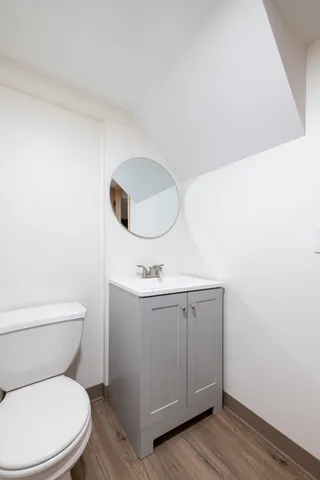 a bathroom with a toilet a sink and mirror