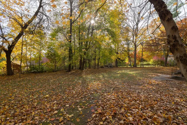 a view of dirt yard with a large tree