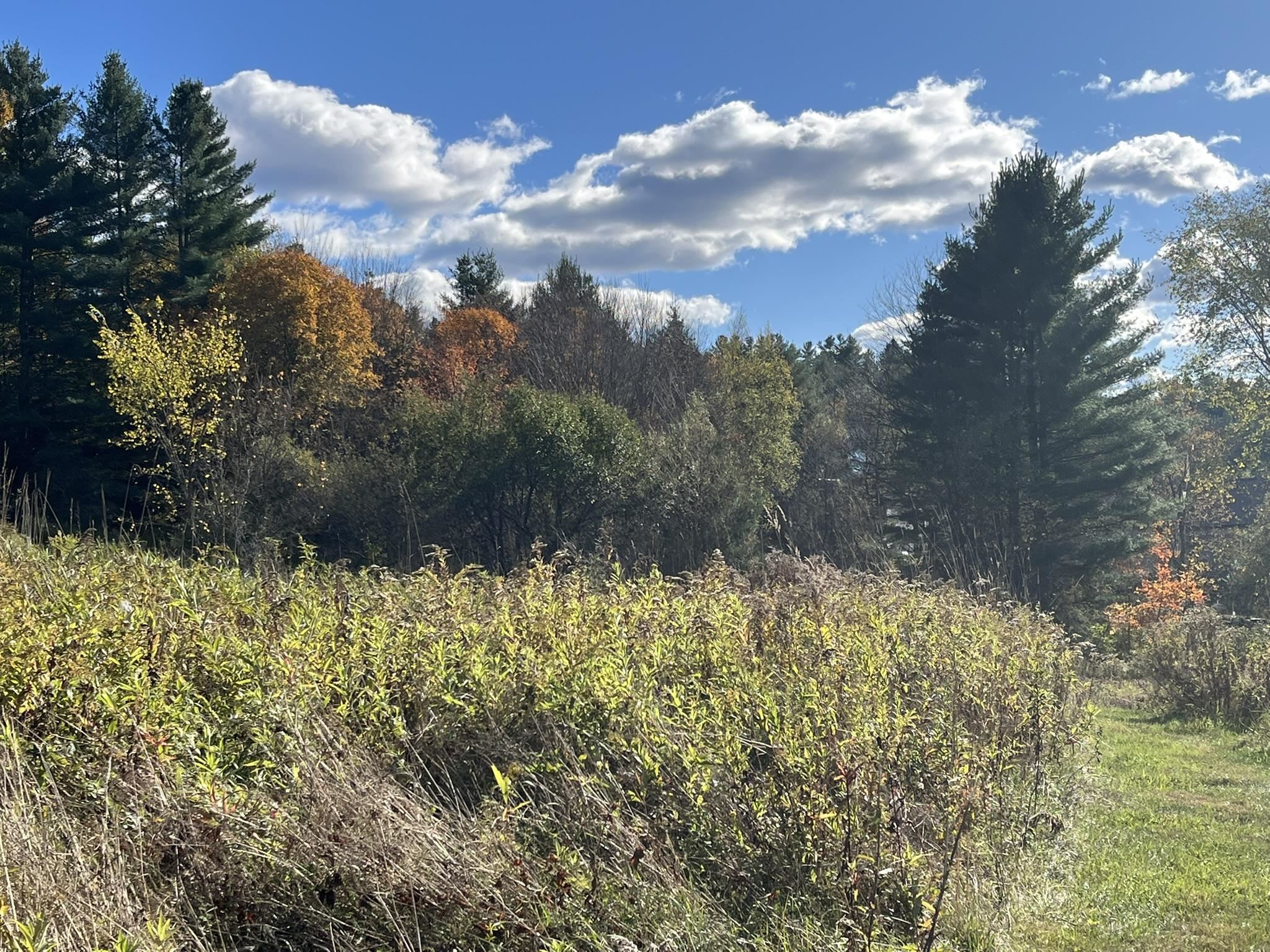 0 Old Farm Road, Unit C Stowe, VT 05672 - Photo 13 of 25