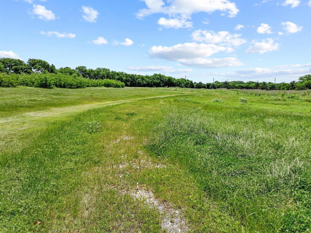 747 Vineyard Road Gunter, TX 75058 - Photo 27 of 32 a view of a big yard with plants and a large tree