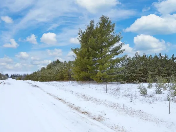 $119,900 | Xxx 170th Street, Park Rapids, MN 56470