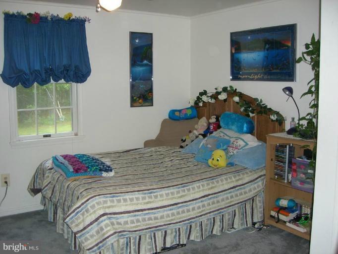 20344 Chingville Road Leonardtown, MD 20650 - Photo 16 of 16 Bedroom #3