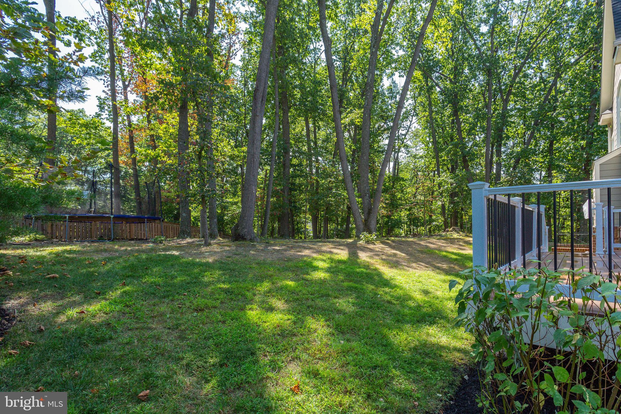 1709 Besley Road Vienna, VA 22182 - Photo 48 of 51 Wooded lot