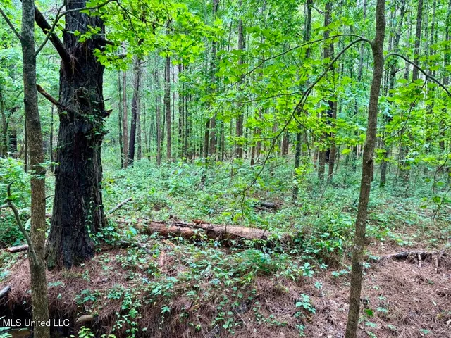 $89,750 | 20 Mt Carmel Road, Bailey, MS 39320