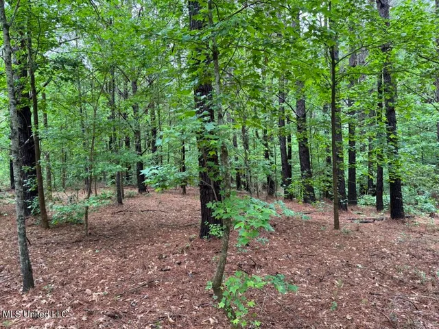 $89,750 | 20 Mt Carmel Road, Bailey, MS 39320