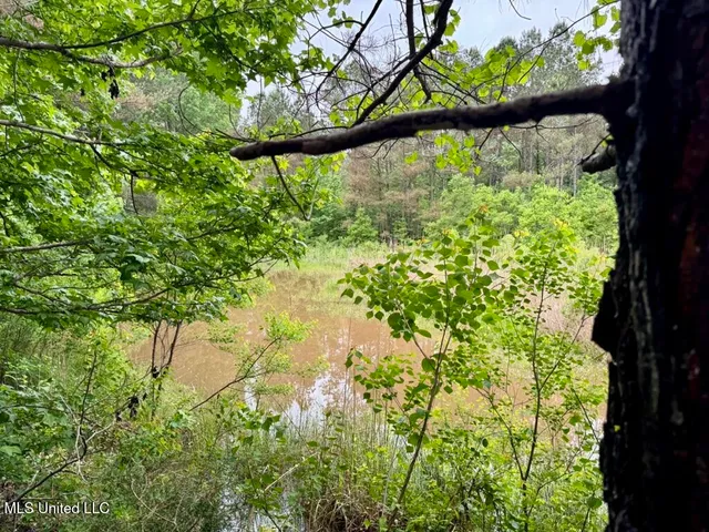 $89,750 | 20 Mt Carmel Road, Bailey, MS 39320