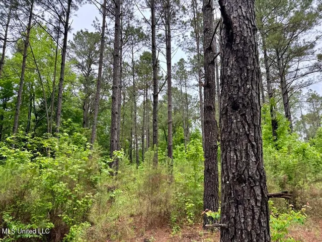 $89,750 | 20 Mt Carmel Road, Bailey, MS 39320