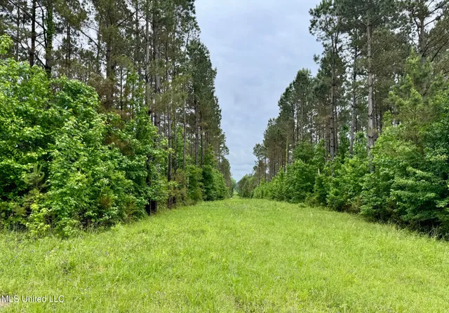 $89,750 | 20 Mt Carmel Road, Bailey, MS 39320