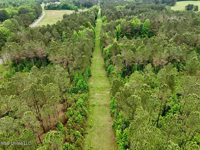 $89,750 | 20 Mt Carmel Road, Bailey, MS 39320
