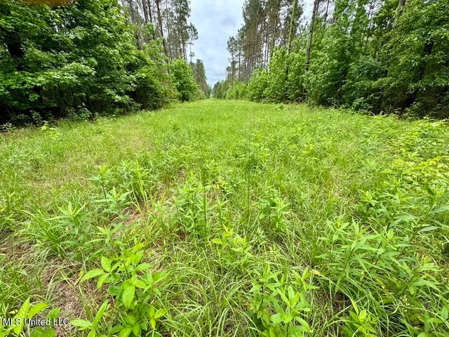 $89,750 | 20 Mt Carmel Road, Bailey, MS 39320