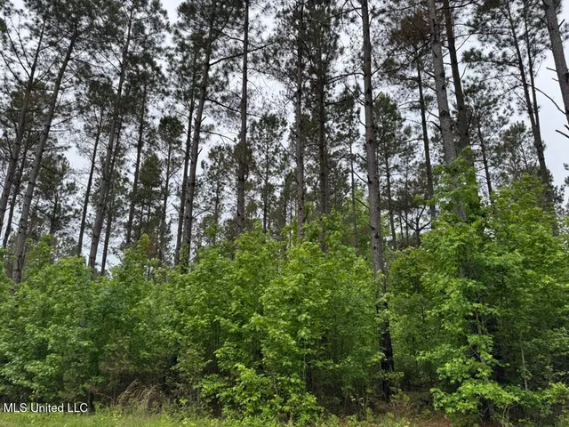 $89,750 | 20 Mt Carmel Road, Bailey, MS 39320
