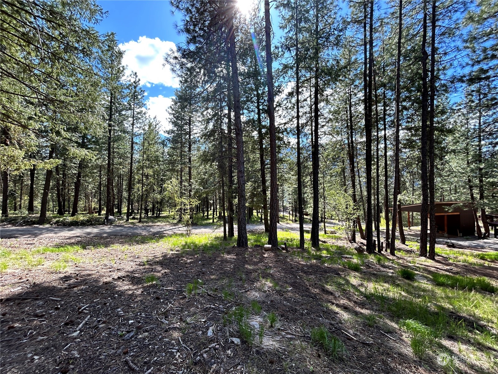 7 Mustard Mountain Road Winthrop, WA 98862 - Photo 11 of 27 a view of park space with trees