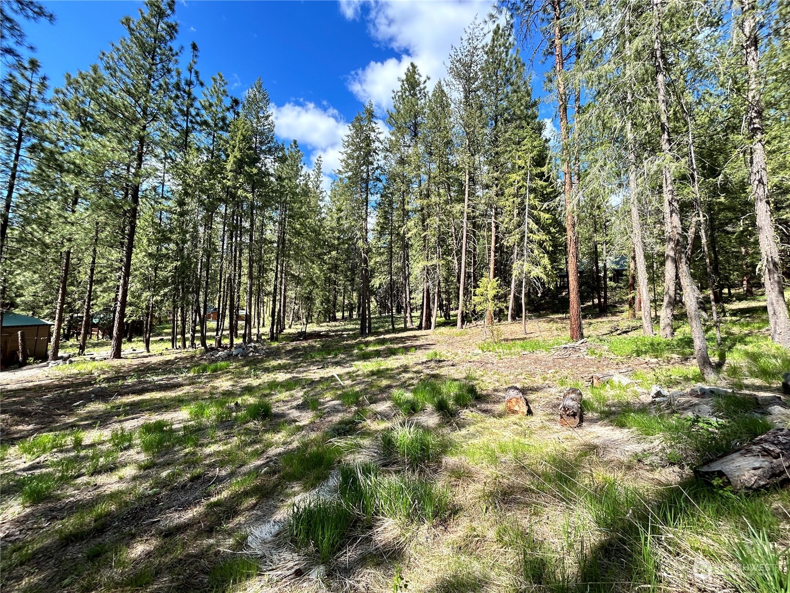 7 Mustard Mountain Road Winthrop, WA 98862 - Photo 12 of 27 a backyard of a house with lots of green space