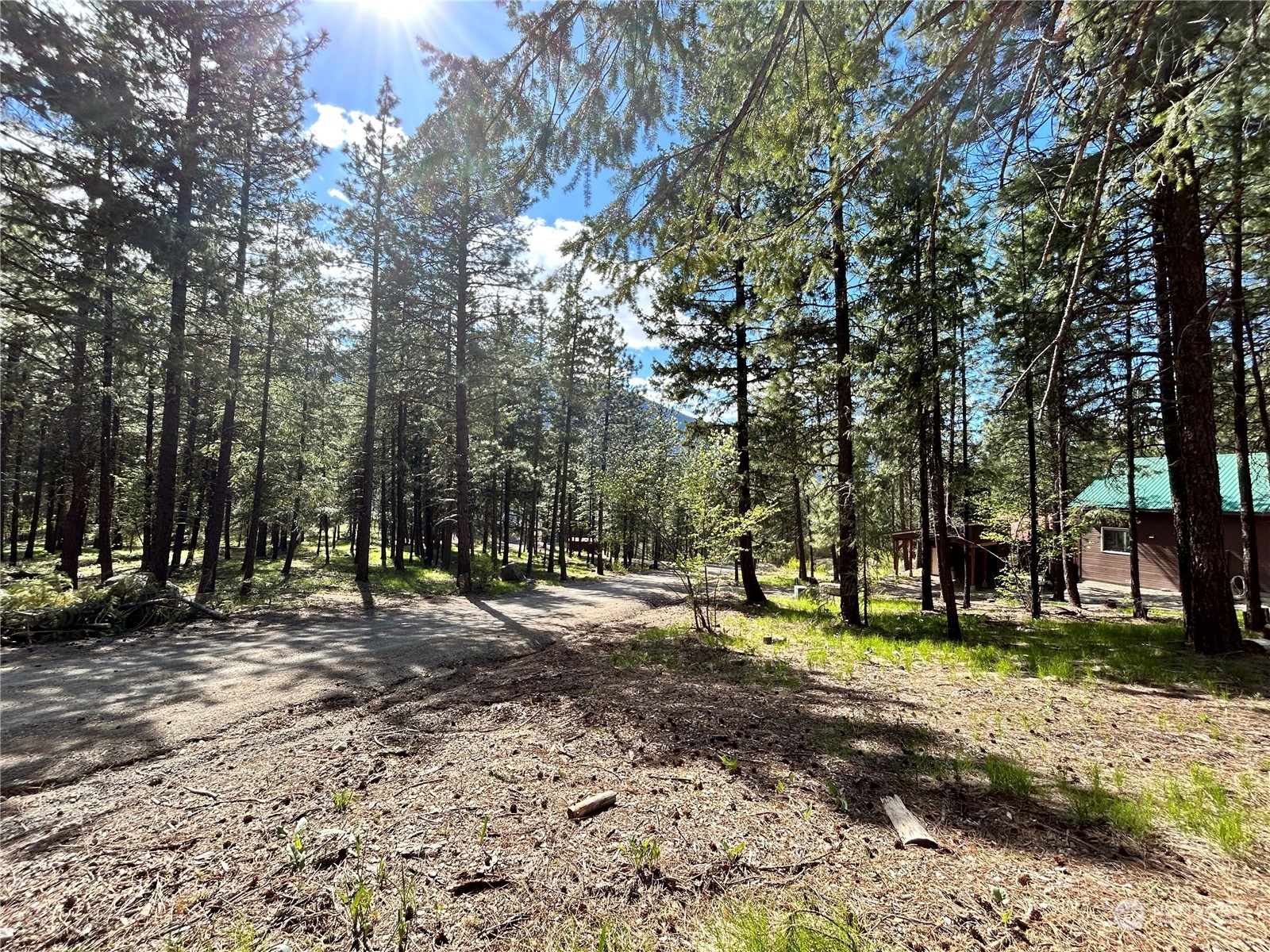7 Mustard Mountain Road Winthrop, WA 98862 - Photo 13 of 27 a view of street with trees