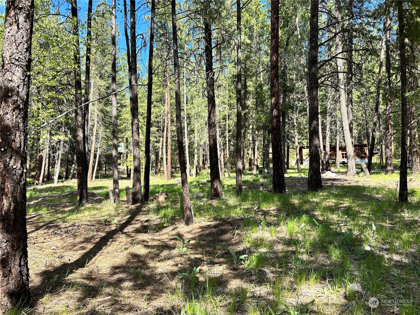 7 Mustard Mountain Road Winthrop, WA 98862 - Photo 14 of 27 a backyard of a house with lots of green space