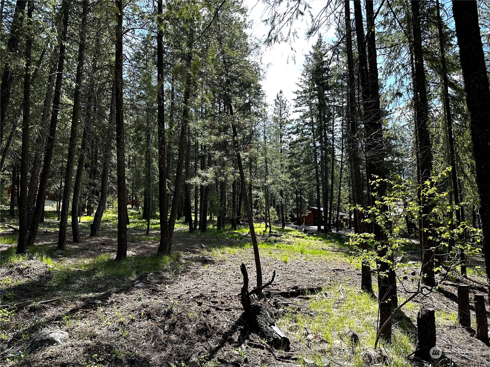 7 Mustard Mountain Road Winthrop, WA 98862 - Photo 17 of 27 a view of a park