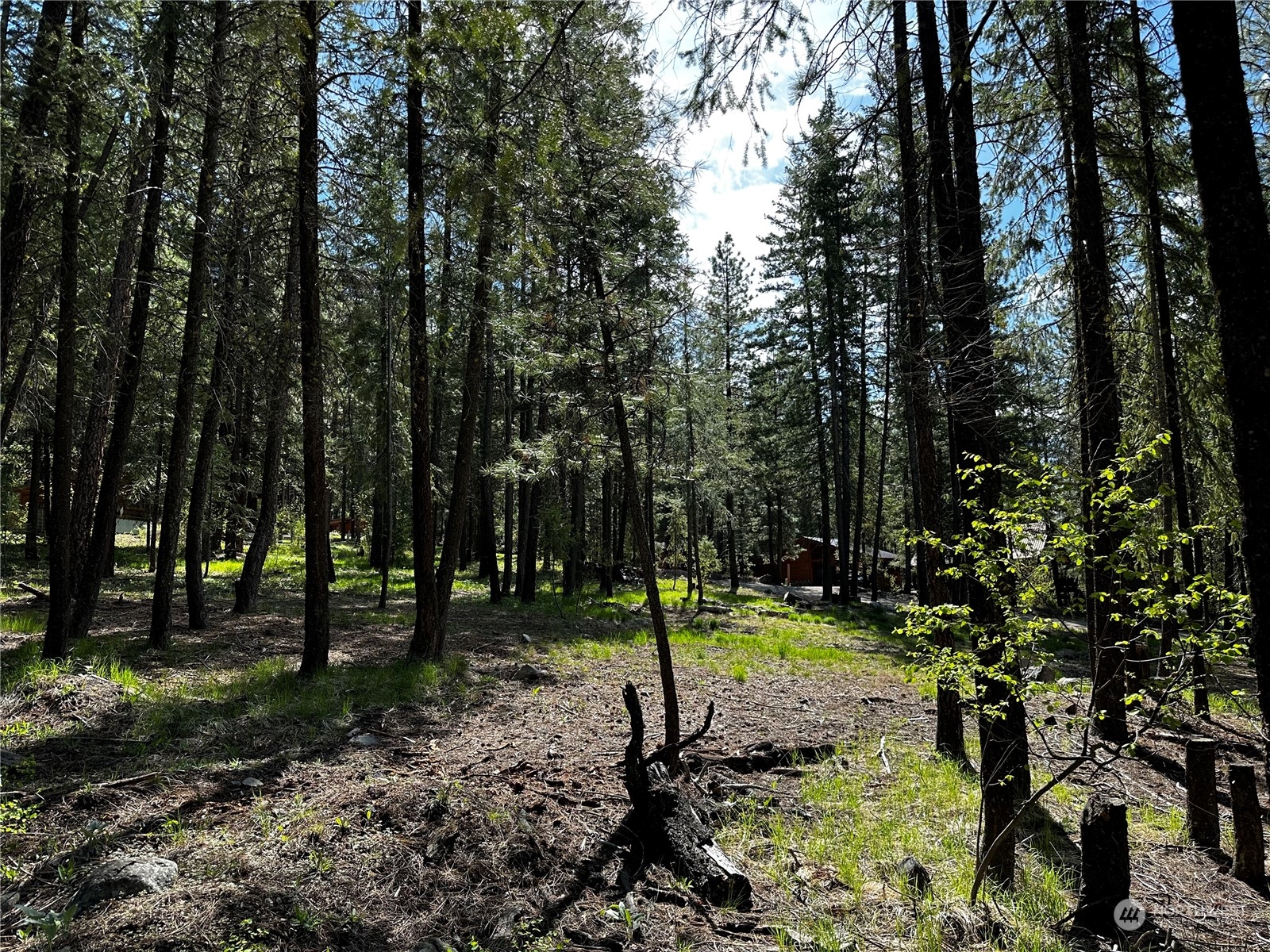 7 Mustard Mountain Road Winthrop, WA 98862 - Photo 18 of 27 a view of a park