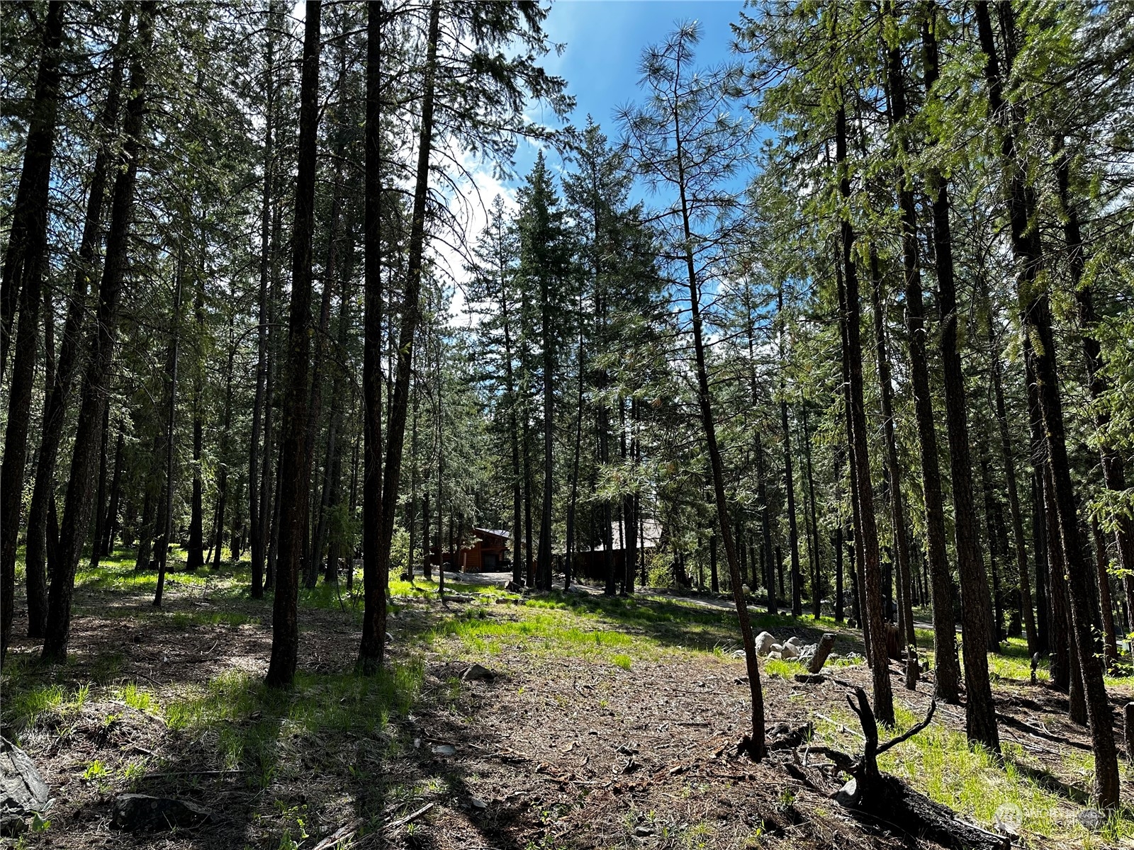 7 Mustard Mountain Road Winthrop, WA 98862 - Photo 19 of 27 a view of outdoor space with lots of trees