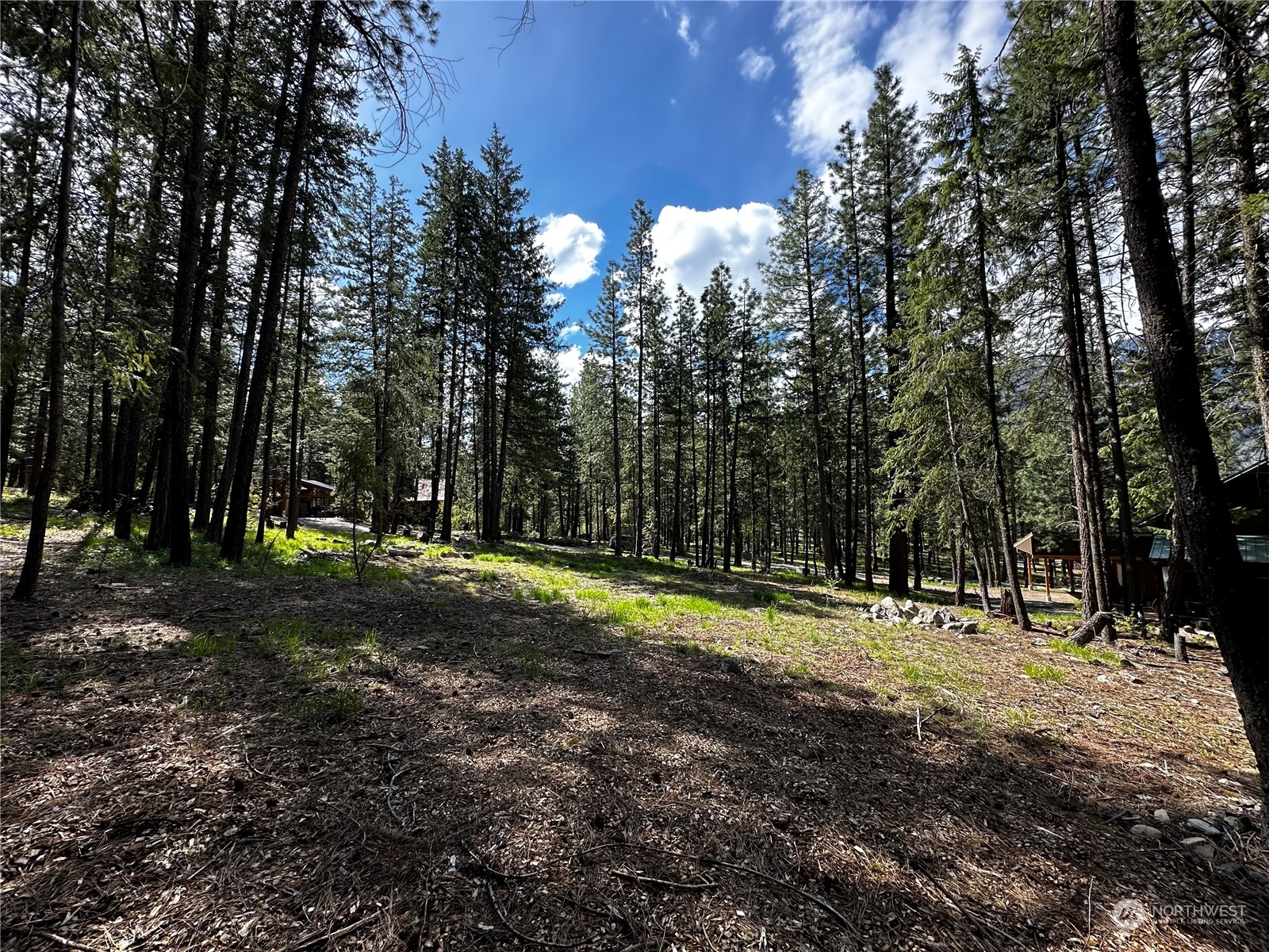 7 Mustard Mountain Road Winthrop, WA 98862 - Photo 21 of 27 a backyard of a house with lots of green space