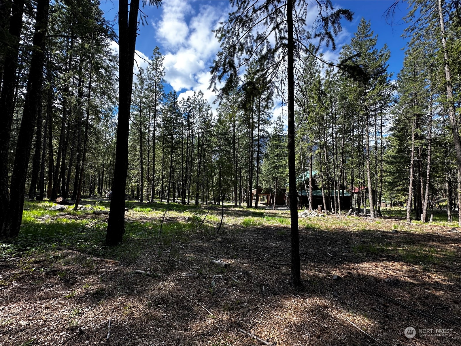 7 Mustard Mountain Road Winthrop, WA 98862 - Photo 22 of 27 a view of a park