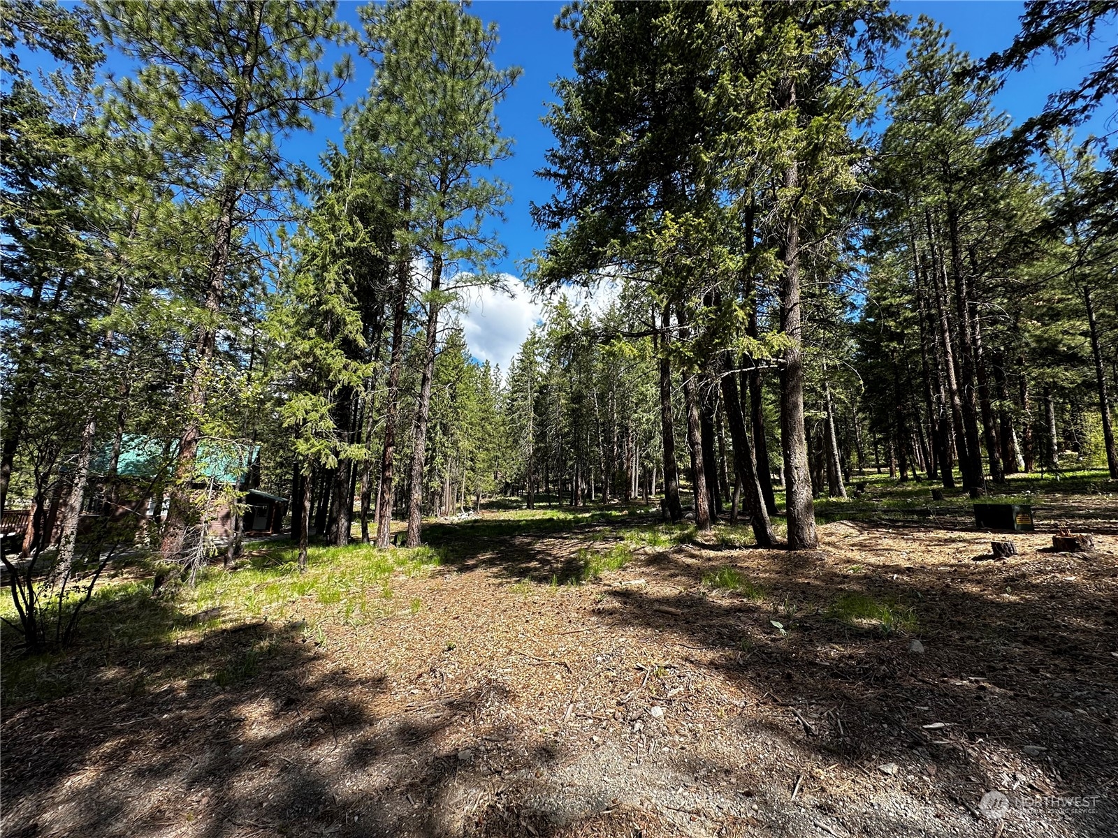 7 Mustard Mountain Road Winthrop, WA 98862 - Photo 23 of 27 a view of outdoor space with trees