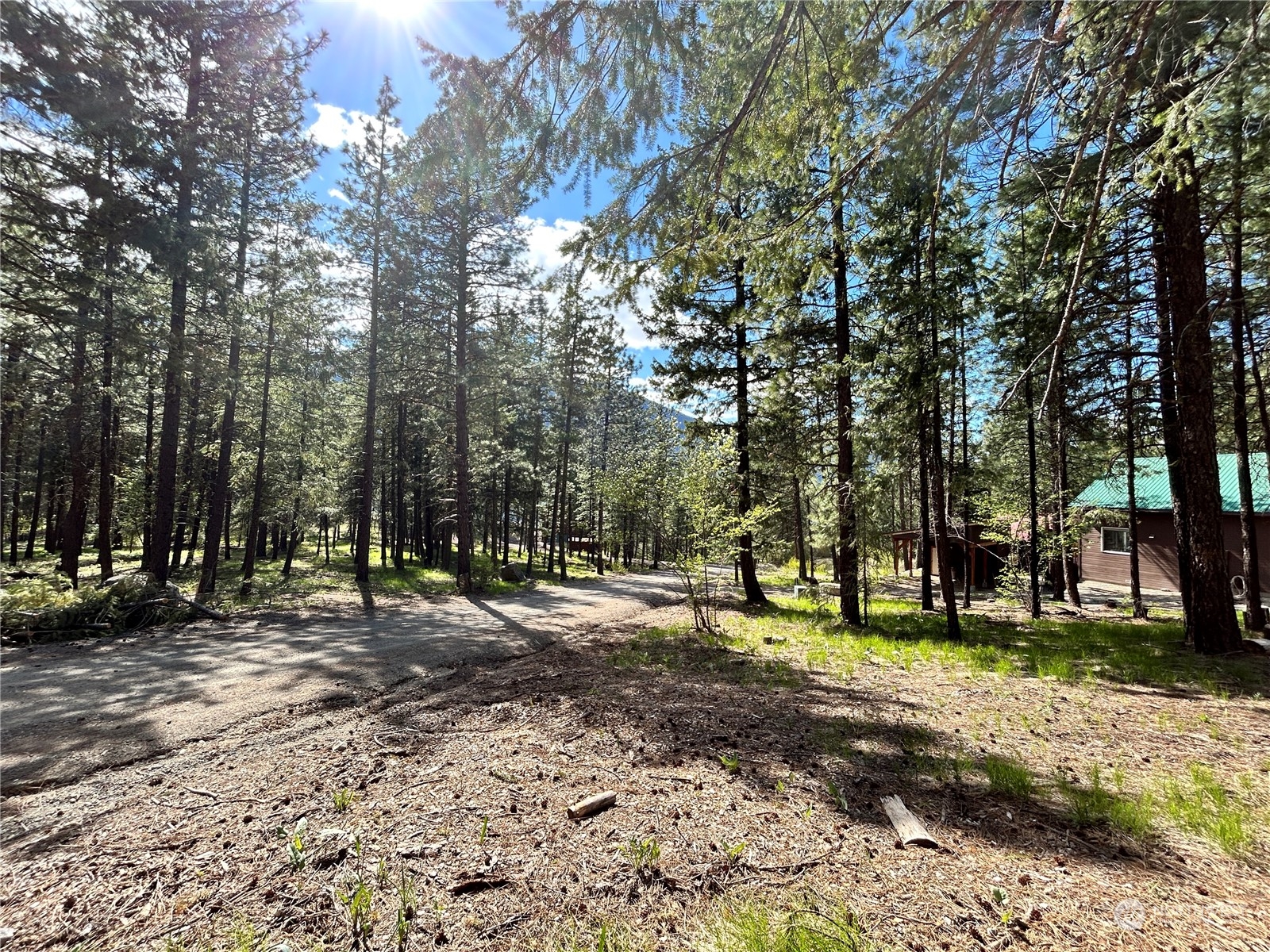 7 Mustard Mountain Road Winthrop, WA 98862 - Photo 24 of 27 a view of street with trees
