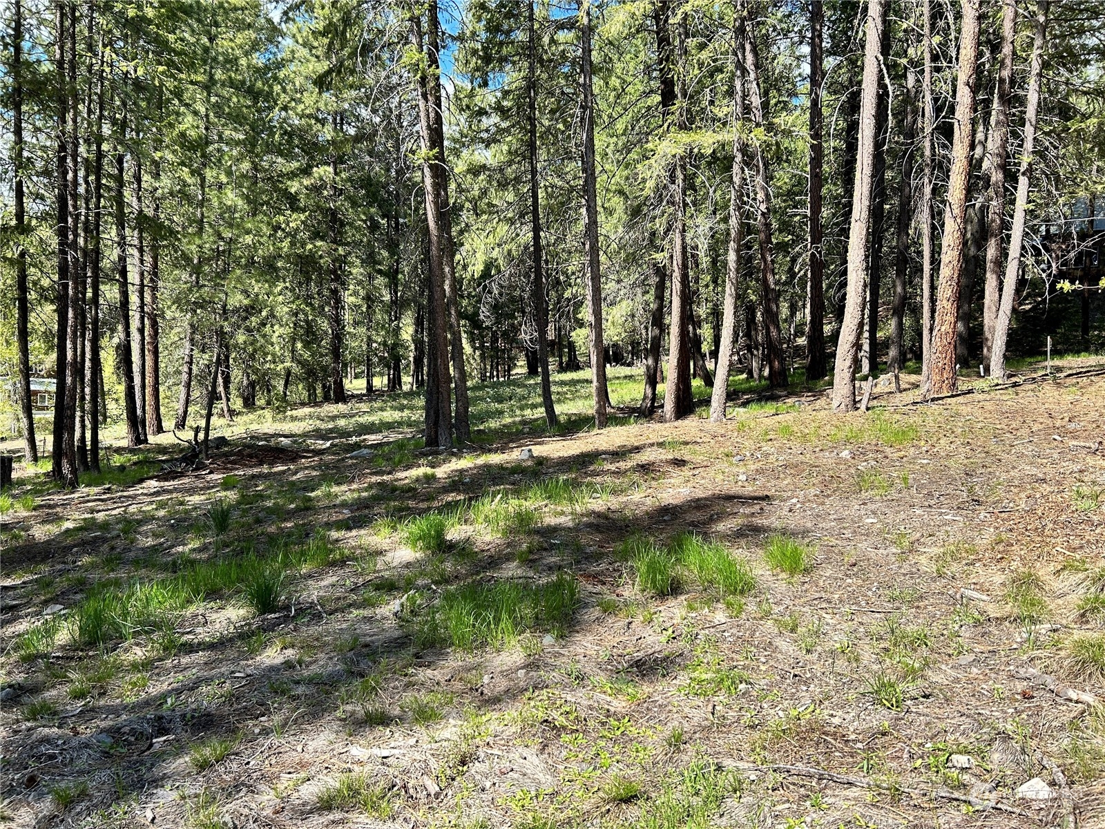7 Mustard Mountain Road Winthrop, WA 98862 - Photo 3 of 27 a view of road with trees