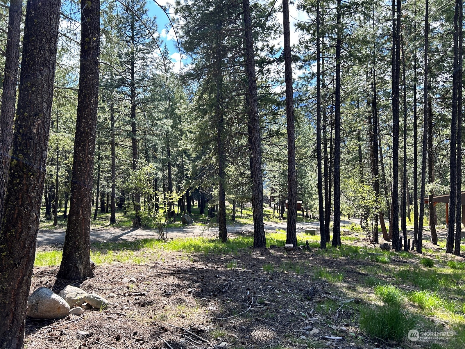 7 Mustard Mountain Road Winthrop, WA 98862 - Photo 6 of 27 a view of outdoor space with trees