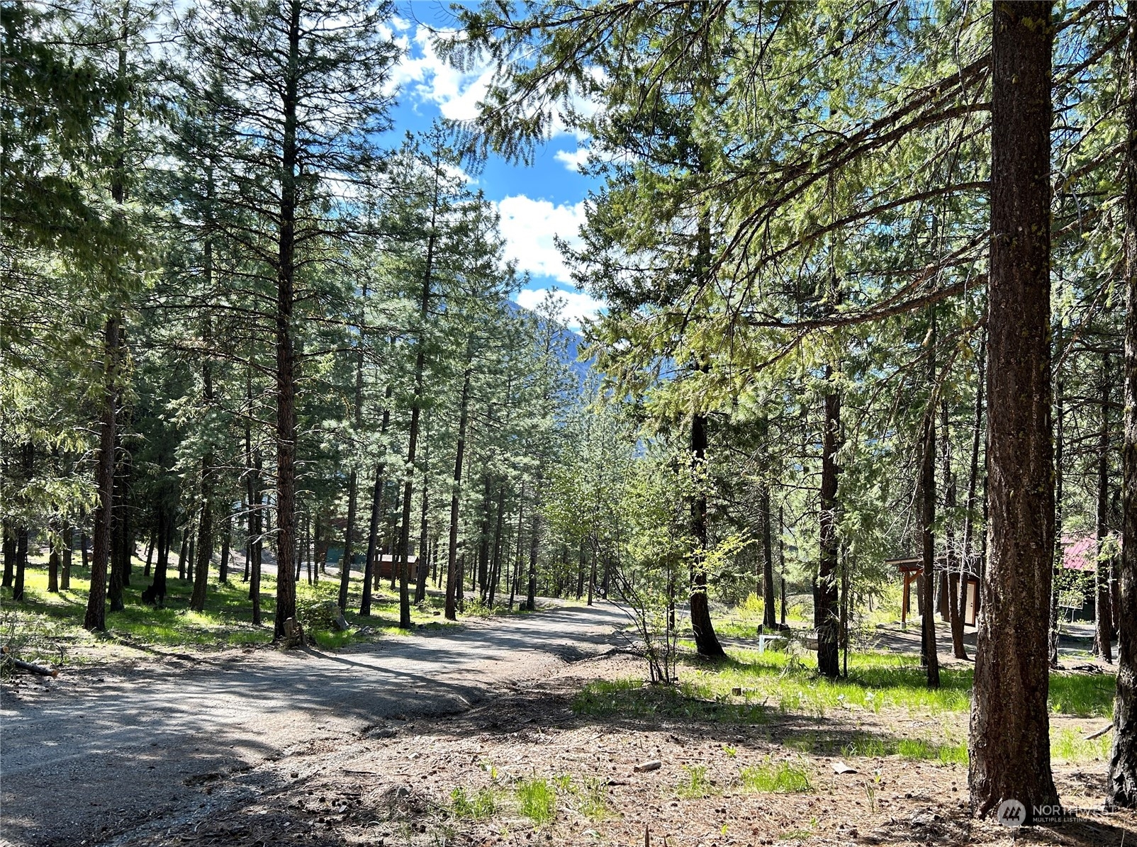 7 Mustard Mountain Road Winthrop, WA 98862 - Photo 7 of 27 a view of a park with tree s