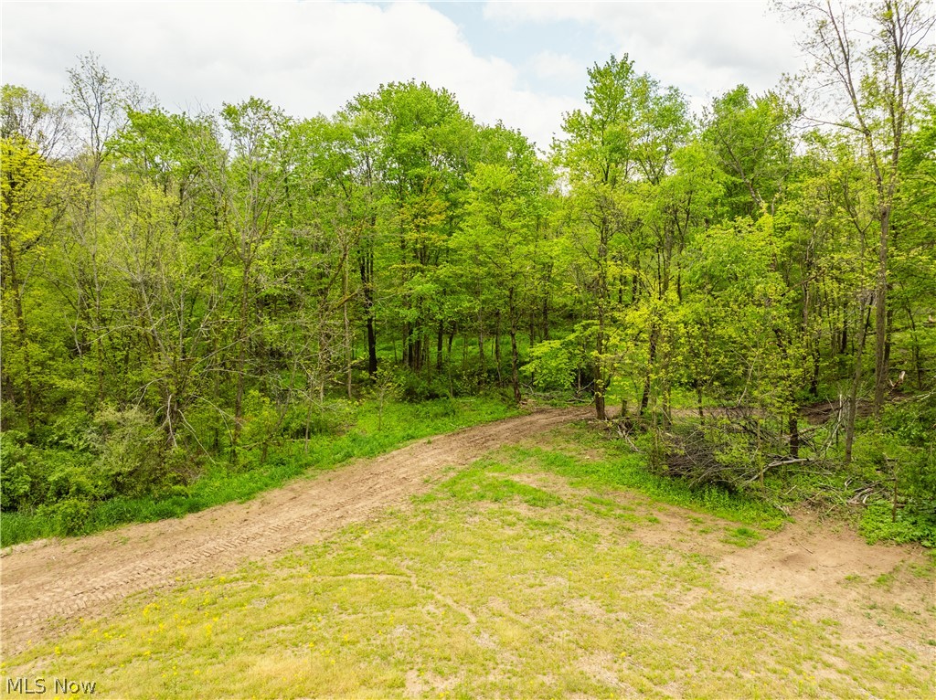 Garver Road Mansfield, OH 44903 - Photo 47 of 48