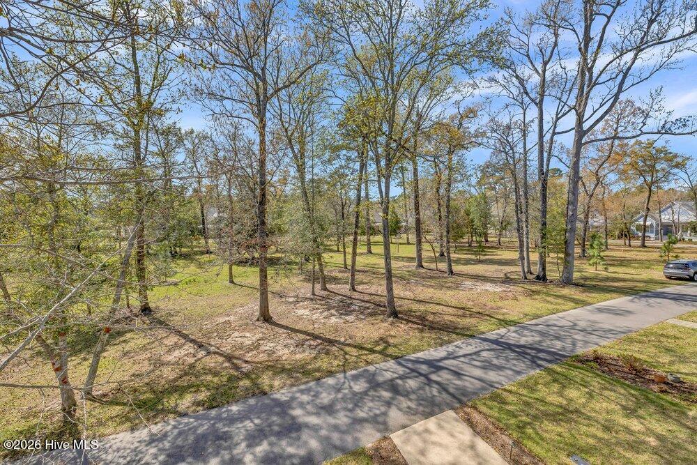 3610 Chair Road Castle Hayne, NC 28429 - Photo 44 of 101 047_img_0525_149