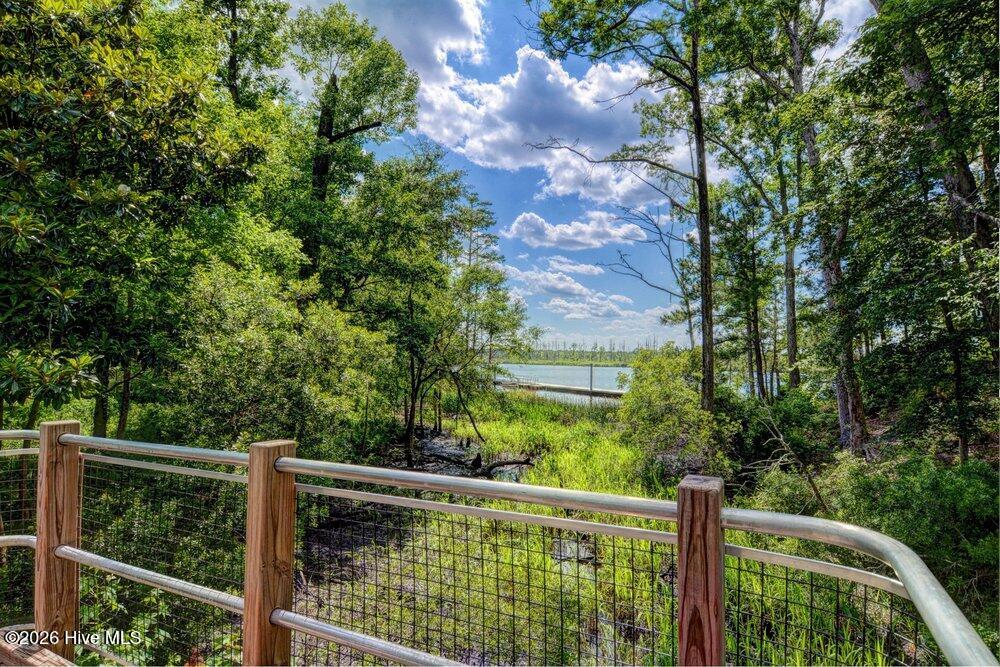 3610 Chair Road Castle Hayne, NC 28429 - Photo 66 of 101 065_dsc_2322_3_4_189