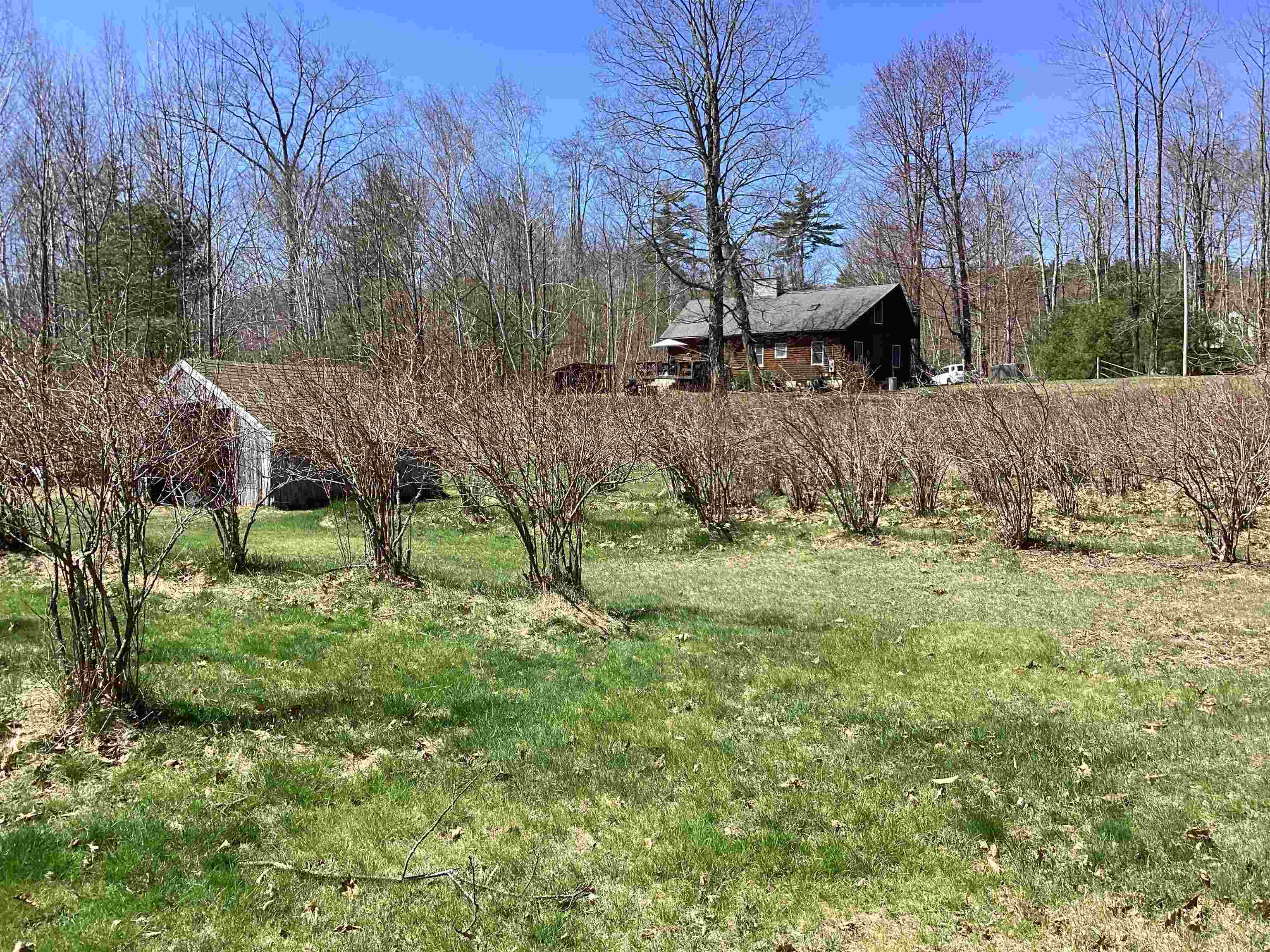 44 Monument Road Richmond, NH 03470 - Photo 23 of 38