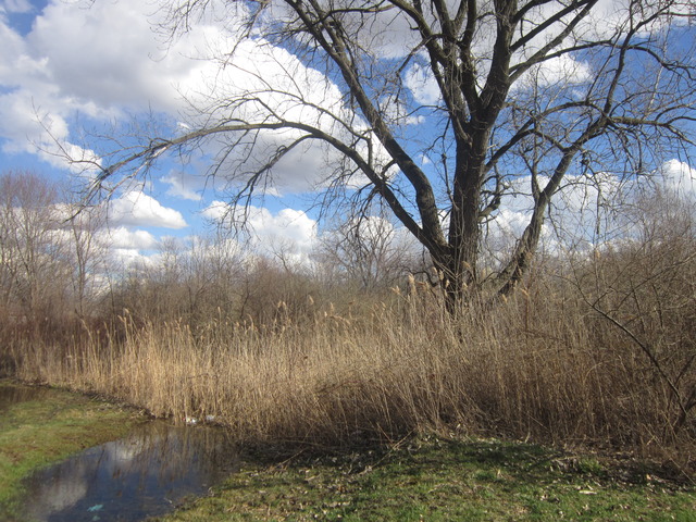 0 East Bergera Road Braidwood, IL 60408 - Photo 4 of 6
