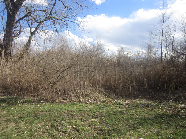 0 East Bergera Road Braidwood, IL 60408 - Photo 5 of 6