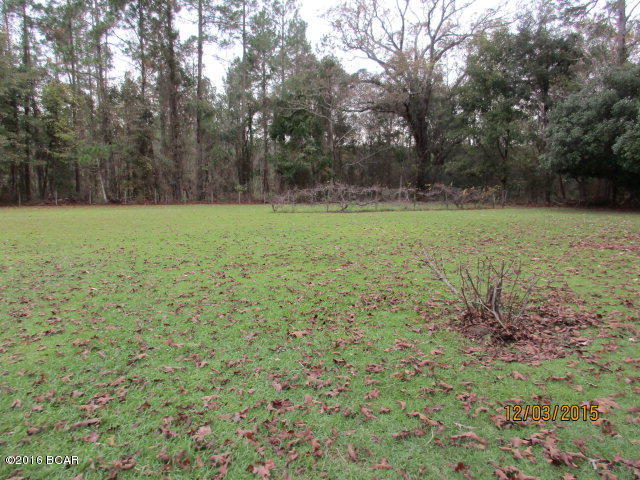 2279 River Road Sneads, FL 32460 - Photo 11 of 13 Gallery Image 11