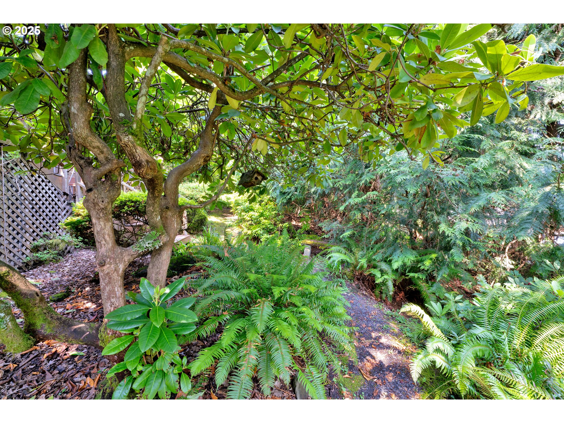 607 East 39th Place Eugene, OR 97405 - Photo 36 of 43