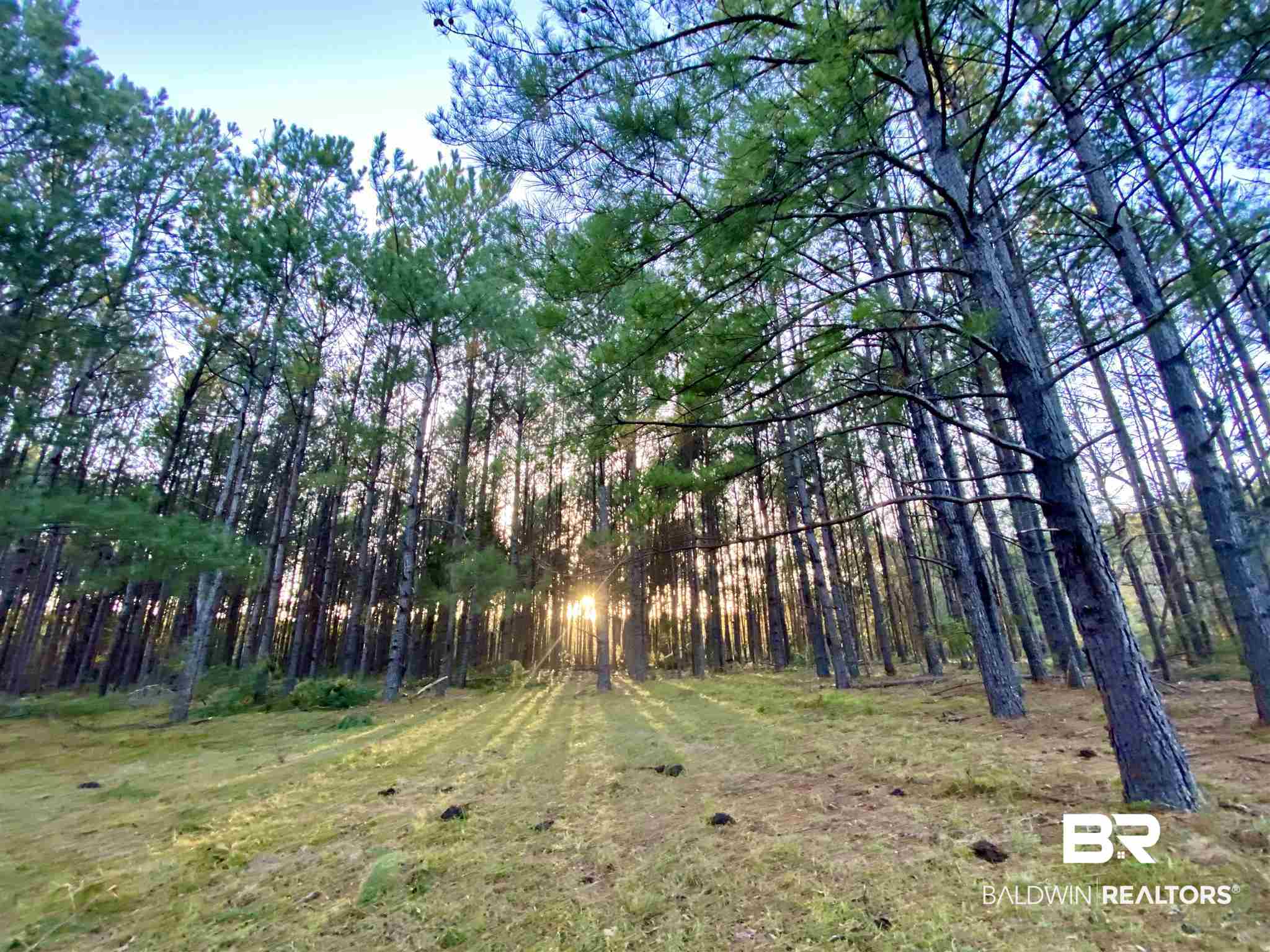 0 Country Road Fruitdale, AL 36539 - Photo 20 of 47